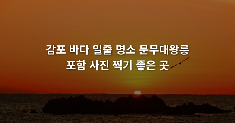 감포_바다_일출_명소_문무대왕릉_포함_사진_찍기_좋은_곳_1773890632482.png