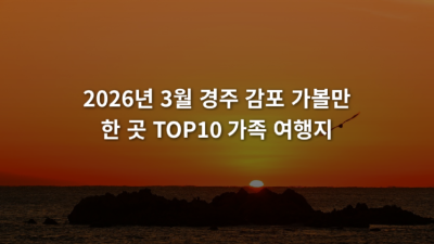 2026년 3월 경주 감포 가볼만한 곳 TOP10 가족 여행지