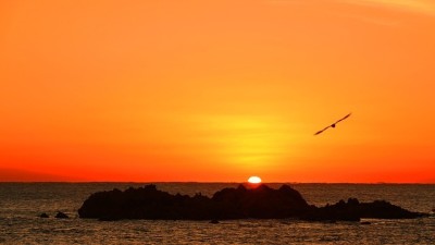 감포 3월 바다물때표 2026년 월간 달력 및 물흐름 정보 상세 가이드