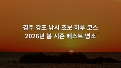 경주 감포 낚시 초보 하루 코스 2026년 봄 시즌 베스트 명소