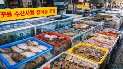 현지인 추천 2026년 감포 회 포장 가능한 맛집 가성비와 구성 비교