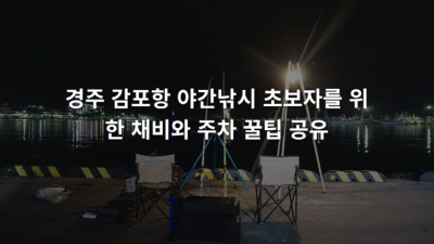 경주 감포항 야간낚시 초보자를 위한 채비와 주차 꿀팁 공유