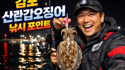 감포 산란갑오징어 낚시 포인트와 물때표 보는 법 상세 가이드