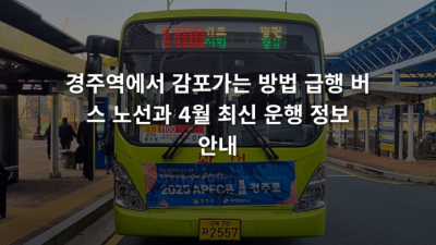 경주역에서 감포가는 방법 급행 버스 노선과 4월 최신 운행 정보 안내