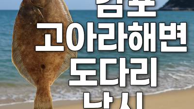 감포 고아라해변 도다리 낚시 방법