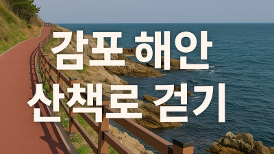 감포 해안 산책로 걷기 여행코스 추천! 감성 가득 동해 바다길